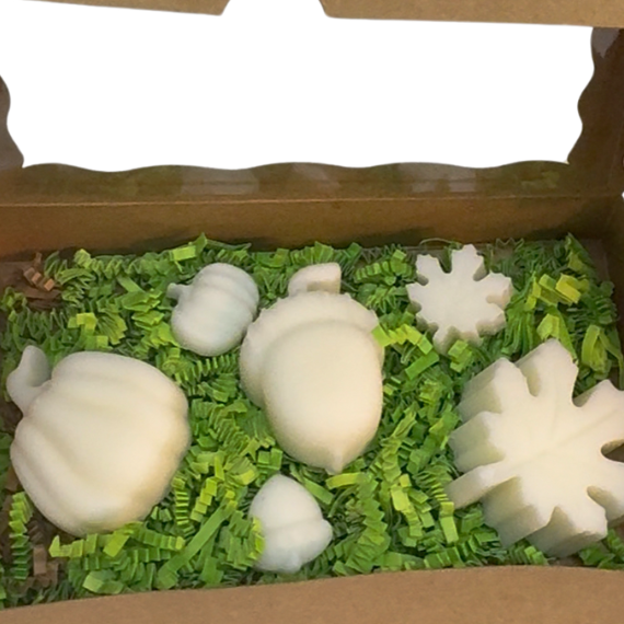 Fall Wax Melt Box