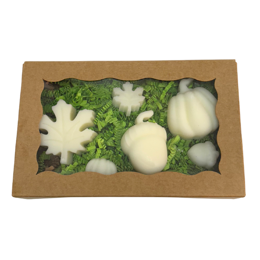 Fall Wax Melt Box