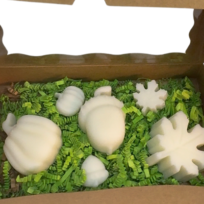 Fall Wax Melt Box